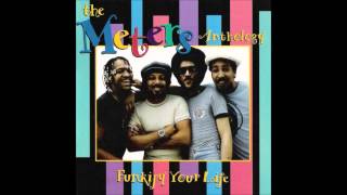 The Meters  TippiToes [upl. by Cuda]