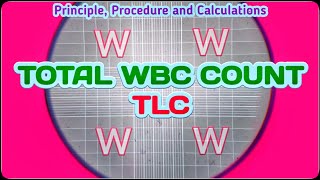 Total Leukocyte Count  TLC Blood Test Procedure  Total WBC Count Experiment [upl. by Guinn]