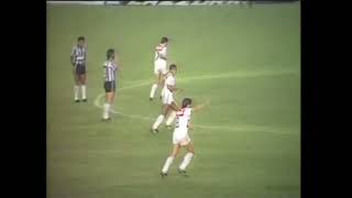 Botafogo 0 x 2 Fluminense  Campeonato Carioca 1988 [upl. by Anivlek994]