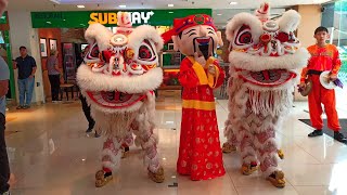 Twin Lion Dance with Choy San Yeh visit Shah Alam [upl. by Rojas653]