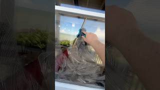 Window cleaning can be so satisfying… windowcleaning pressurewashing satisfying howto diyviral [upl. by Eusebio547]