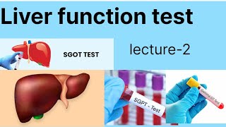 Liver function test lecture2  LFT Liver function test hindi main [upl. by Curnin]