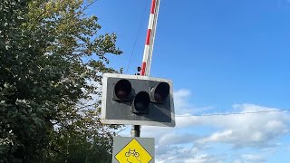 MISUSE Lisnagry level crossing Limerick ft TrainLCISpotting [upl. by Willock]