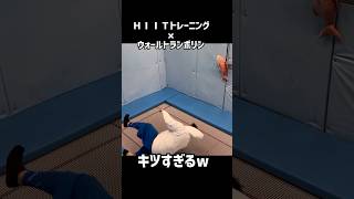 ＨＩＩＴトレーニング×ウォールトランポリンがキツすぎたw diet hiit training trampoline [upl. by Pax473]