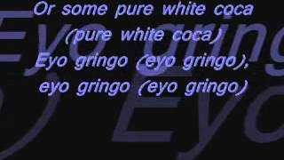 Akon gringo lyricswmv [upl. by Stephine584]