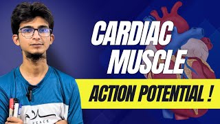 Cardiac muscle action potential in bangla [upl. by Saiasi]