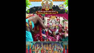 Palani Arulmigu Sri Dhandayudhapani Swami Temple  Kalyanotsavam trendingshorts murugan kalyanam [upl. by Siroled]