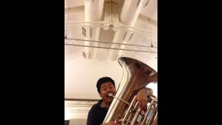 【オケスタ】Tuba Excerpt Ride of the Valkyries【必聴！？】 [upl. by Dawkins700]