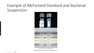 Clinical Microbiology Antimicrobial Susceptibility Testing [upl. by Eiramave]