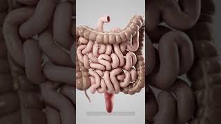 Early Warning Signs Of COLON CANCER You Should Not Ignore [upl. by Mirth602]