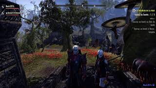 Laventure en Deshaan continue sur The Elder Scrolls  Online [upl. by Thaddaus186]