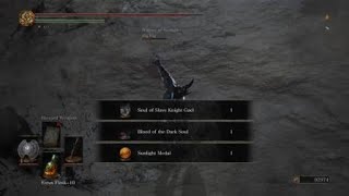 Ds3 Bosses FINALE DLC Slave Knight Gael [upl. by Dnomse]