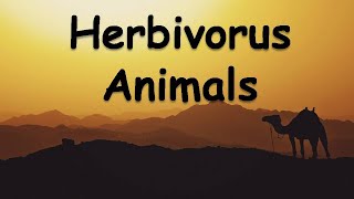 Types of Herbivorous Animals Part 6 [upl. by Nallij]