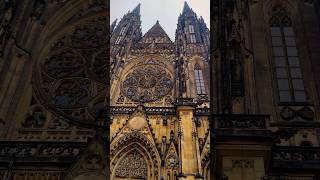 St Vitus Cathedral  Prague 🏛️ travel shortvideo vacation czech [upl. by Ahselrak]