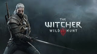 the witcher 3 épée en argent silver sword tlareg location [upl. by Atirrehs]