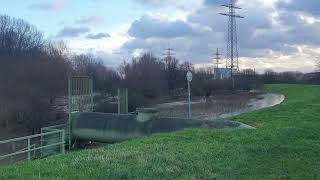 Lippe Hochwasser 26 12 2023  Wehr Buddenburg überflutet  Lünen  Deiche Lippeverband grüsst mich [upl. by Warila206]