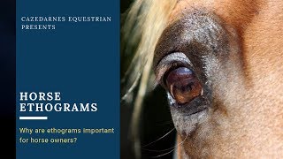 Horse Ethograms [upl. by Lleznod]