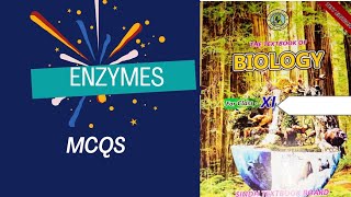 Enzymes mcqs Enzymes mcqs chapter 2 biology enzymes mcqs Sindh board [upl. by Sulecram]