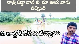 Today our town has a river 🏞️💧🌧️and fishes have come to the fields🐟 viralvideo river [upl. by Sang]