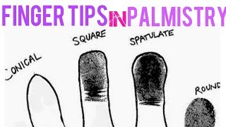 What does shape of your finger tip indicate  palmistry  hastrekha  palm reading [upl. by Johnna638]