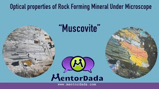 Optical Properties of Rock forming Minerals under Microscope  Thin Section  Muscovite  Mica [upl. by Jere446]