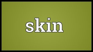 Skin Meaning [upl. by Mello]