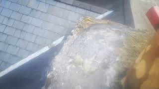 Failed Chimney Flaunching causing a leak [upl. by Yoc]