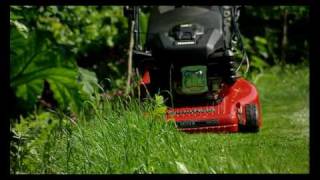 Mountfield rear roller petrol lawnmowers [upl. by Hilly728]