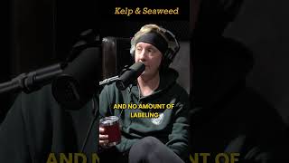 The SHOCKING Truth About Kelp vs Seaweed Exposed [upl. by Ayarahs]