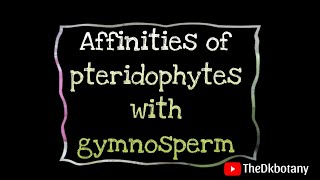 Affinities of pteridophytes with gymnosperm [upl. by Nivlem345]