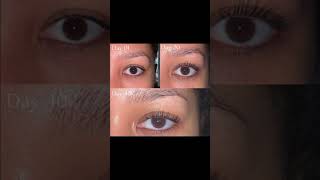 Best eyelash serum😍 subscribe youtubeshorts organicoillashgrowth [upl. by Viviane548]