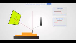 AFM Principle Basic Training [upl. by Agate]