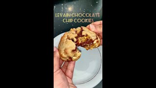 Levain Bakery Chocolate Chip Cookies [upl. by Pavel615]