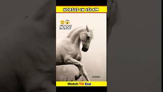 horses 🐎 horse riding 🐎 beautiful horse horse horseriding facts shorts ghoda [upl. by Kaitlynn]