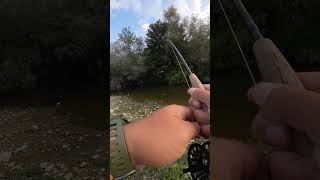 fishing flyfishing chub fish creek [upl. by Eeralih682]