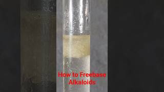 PEA Phenylethylamine HCl Freebase reaction [upl. by Larrie]