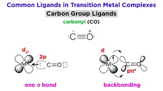 Types of Bonding in Transition Metal Systems and Simple Ligands [upl. by Normi58]