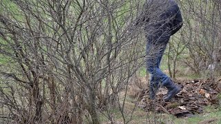 Leichenfund bei Teisendorf [upl. by Einahpets]