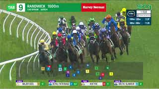 Epsom Handicap 2024  CEOLWULF 3YO Hcp G1 Group 1 Randwick 5 October [upl. by Lais852]