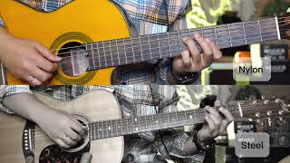 Which one sounds better Nylon vs Steel string guitar [upl. by Garwood773]