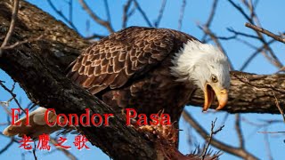 El Condor Pasa Andy Williams 老鷹之歌【中英字幕】 [upl. by Templas]