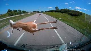 Hitting a deer at 70mph WARNING graphic content [upl. by Trevar846]