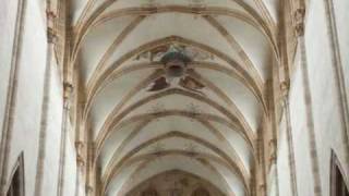 Evangelische Domkirche  Ulm Deutschland  Orgel [upl. by Leno378]