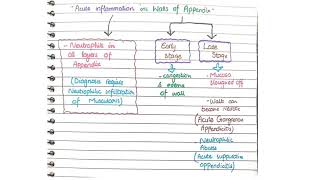 Acute Appendicitis Pathology  Morphology [upl. by Baler699]