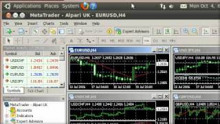 MT4 amp MT5 on Linux 05 Installing Metatrader 4 [upl. by Ylellan113]