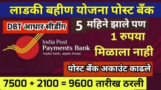 India post payment bank dbt aadhar seeding ippb bank aadhar link किती दिवसात पैसे जमा होईल [upl. by Camroc]