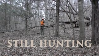 Tips for Still Hunting Whitetail Deer  TN Public Land [upl. by Nilram852]