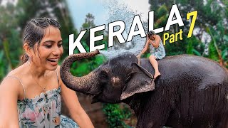 Thekkady Luxury Resort Stay  Periyar Tiger Reserve  Elephant Shower  Kerala Tourism Part 7 [upl. by Evilo]