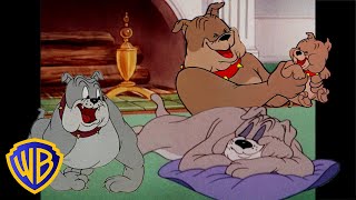 Tom amp Jerry  Best of Spike 🐶  Classic Cartoon Compilation  wbkids​ [upl. by Yelena]