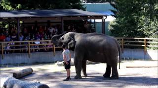 Elefant Show  Kolmården [upl. by Carrick]